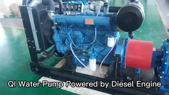 Pompa idraulica per motore diesel con irrigazione centrifuga orizzontale da 6 pollici